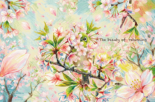 写真：特別展示企画「Sustainable Novelty」